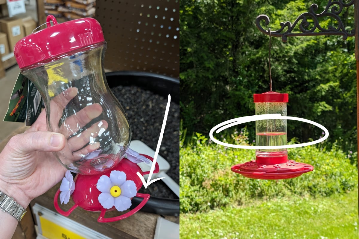 κολάζ τροφοδότες Hummingbird