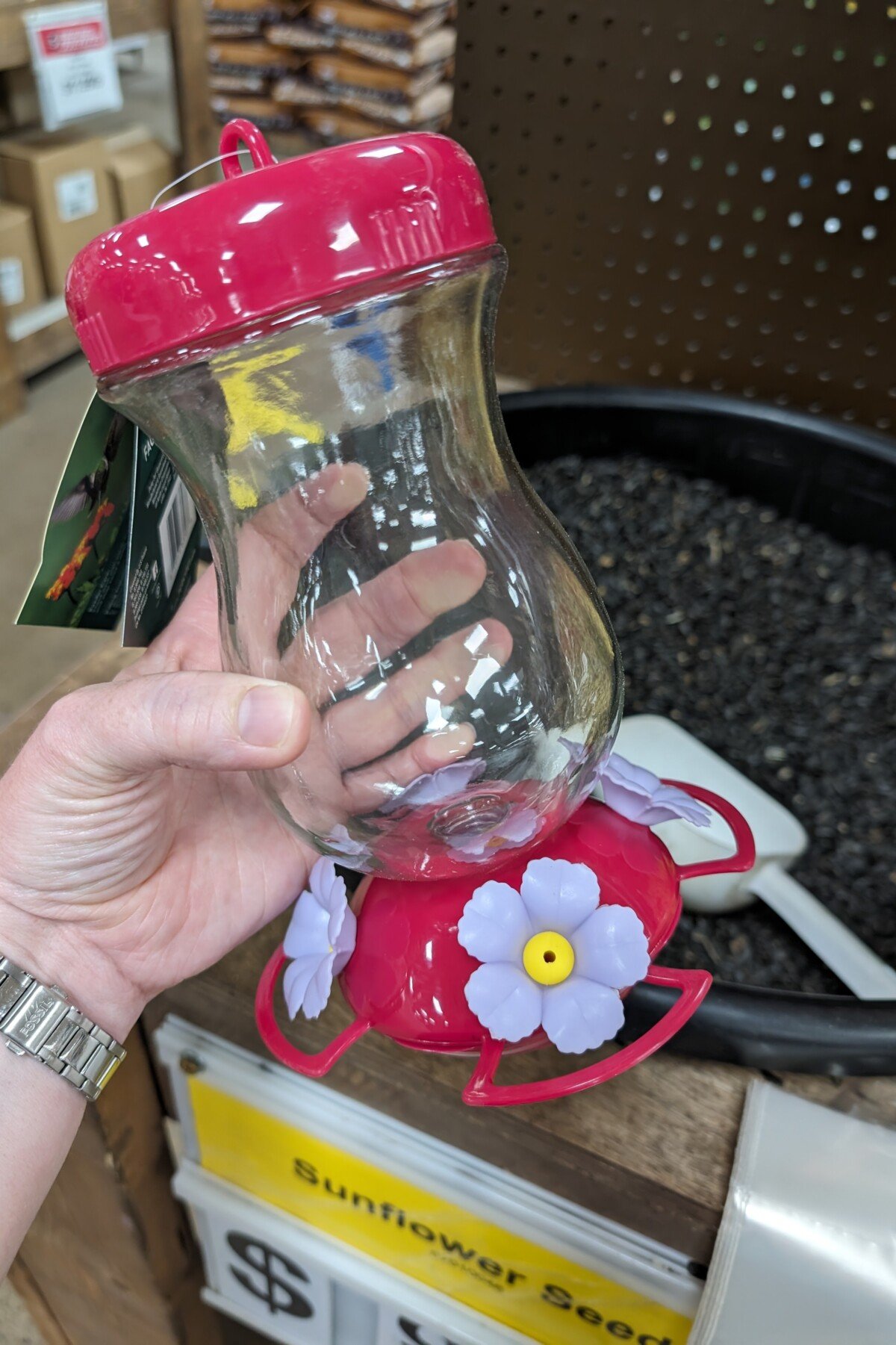 Χέρι κρατώντας τροφοδότη Hummingbird