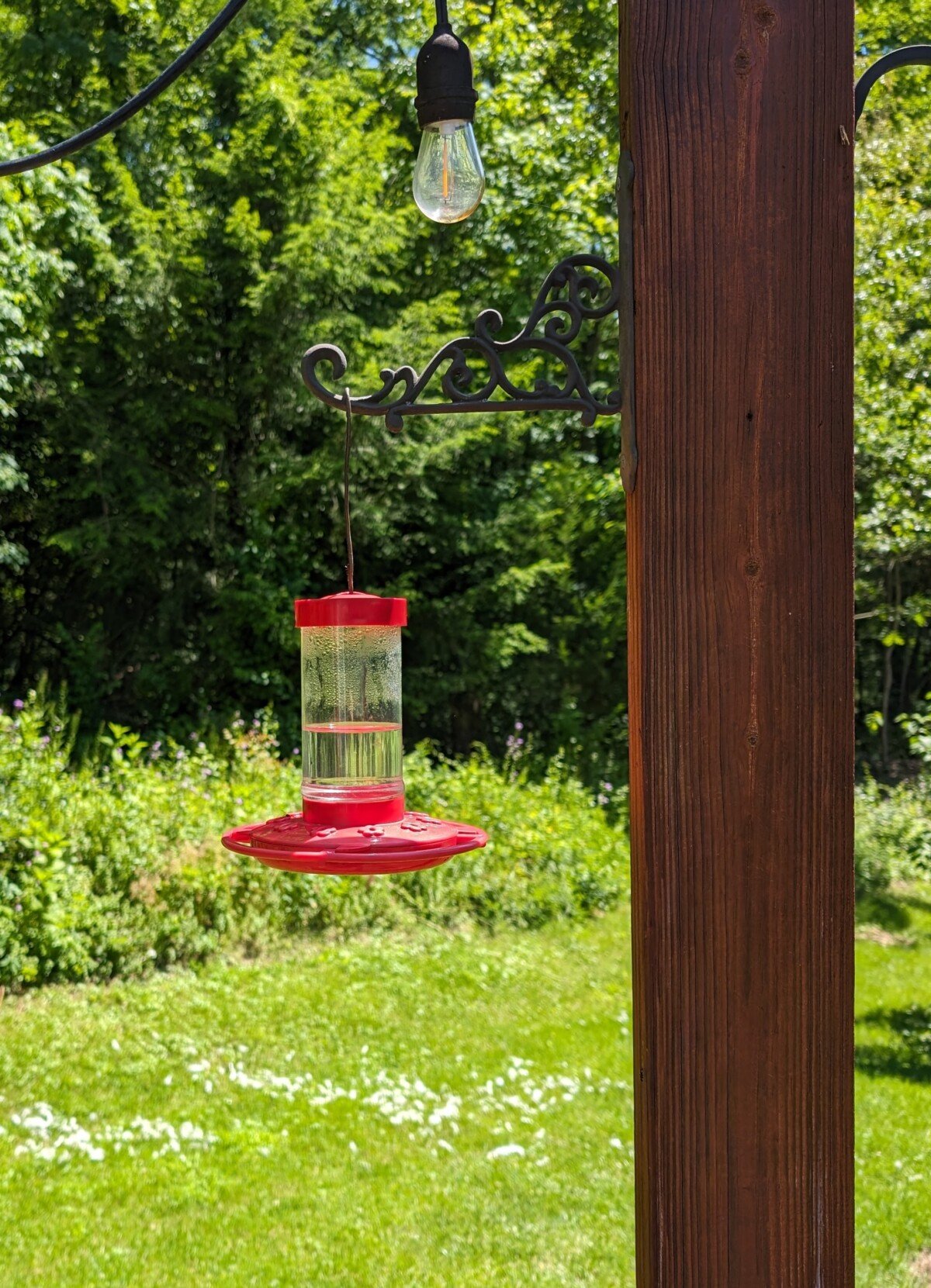 Τροφοδοσία Hummingbird ένα τρίτο